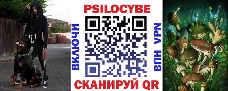 Купить закладки  Суворов  Псилоцибиновые грибы Cubensis 